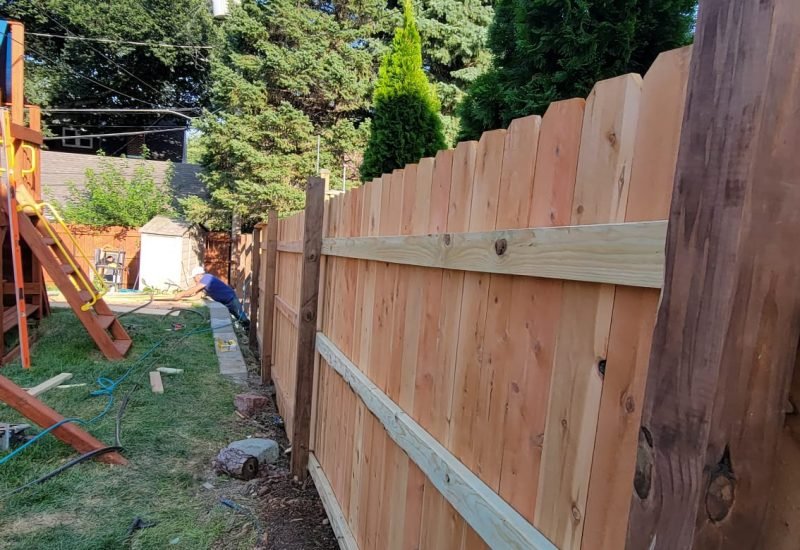 WhatsApp Image 2024-03-05 at 11.59.58 AM